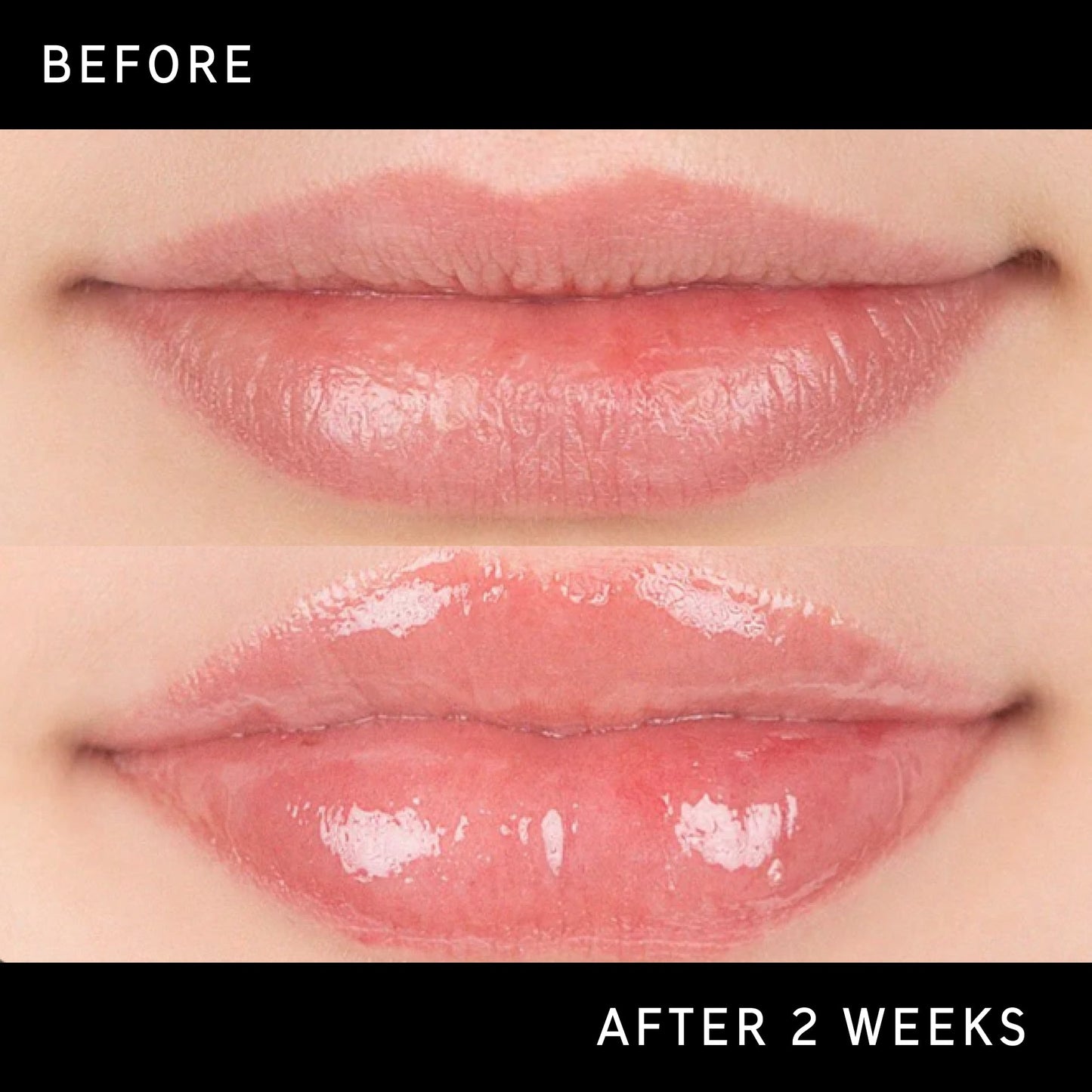 tripeptide-plumping-lip-balm-n6 DTC-Top15_Amends_Tripeptide-Lip_B_A.jpg