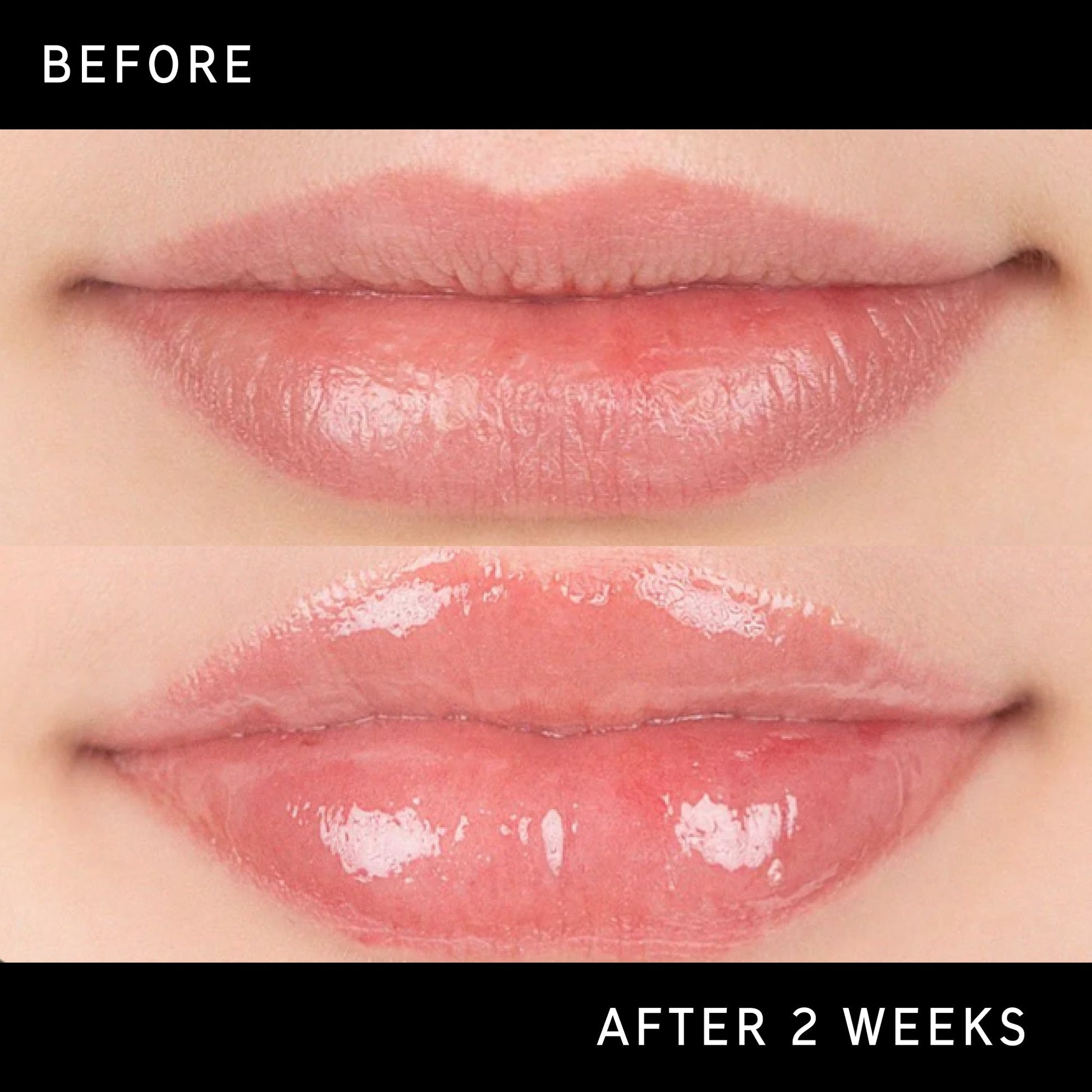 tripeptide-plumping-lip-balm-n6 DTC-Top15_Amends_Tripeptide-Lip_B_A.jpg
